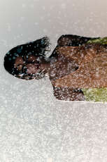 Image without a name