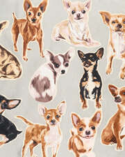 the chihuahua edit