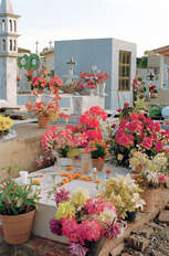 Image without a name