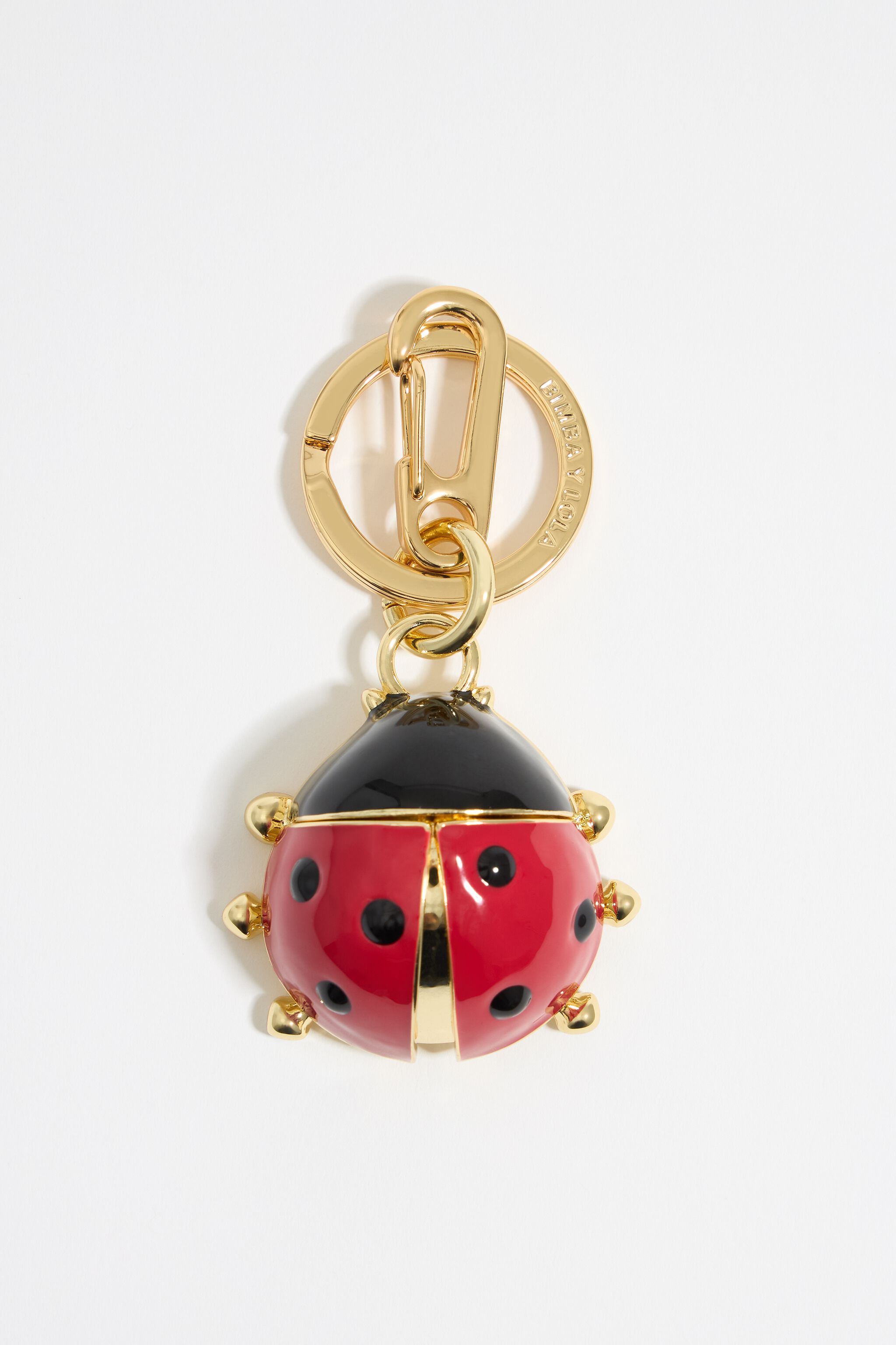 Red ladybug key ring