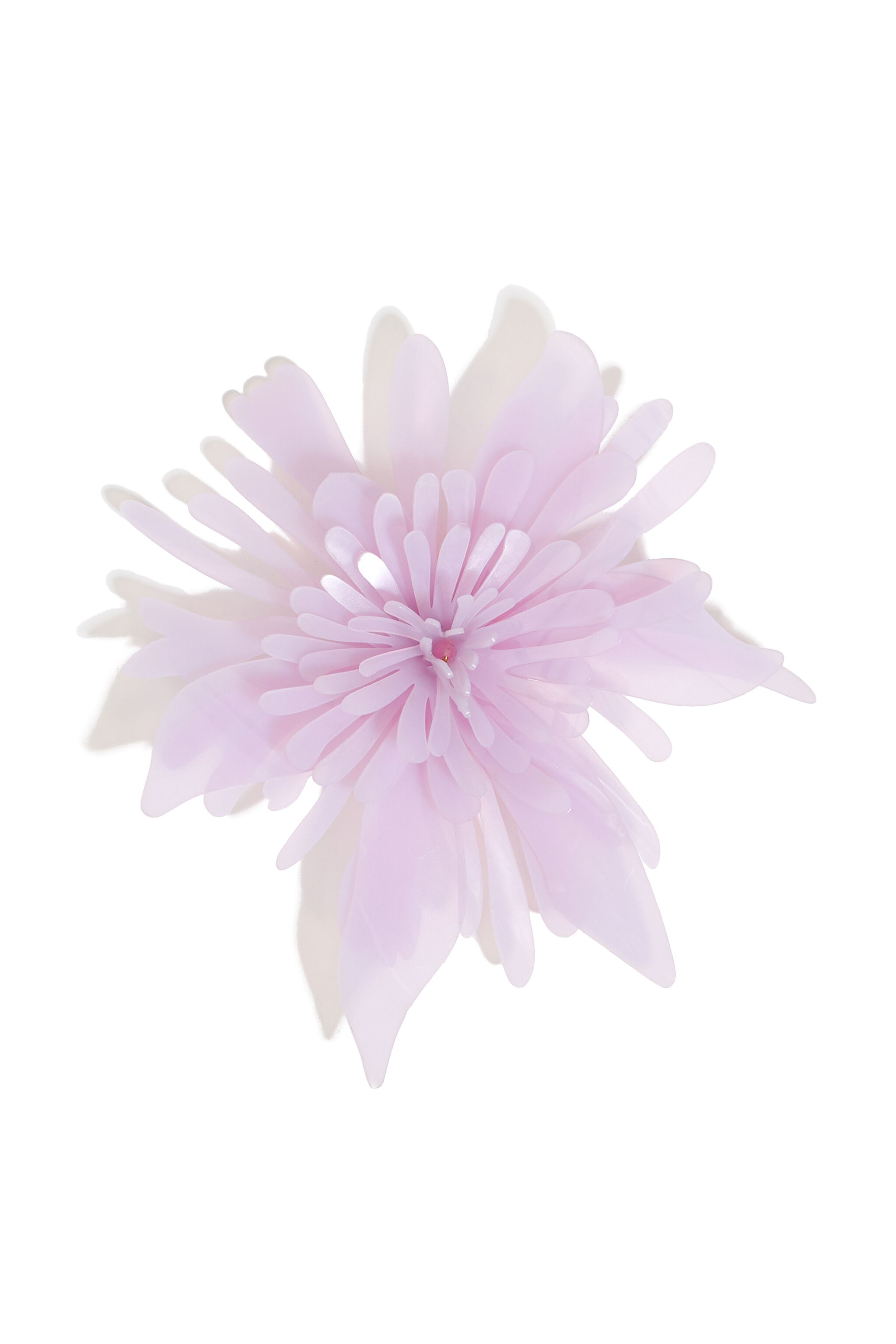 Charm crisantemo lila