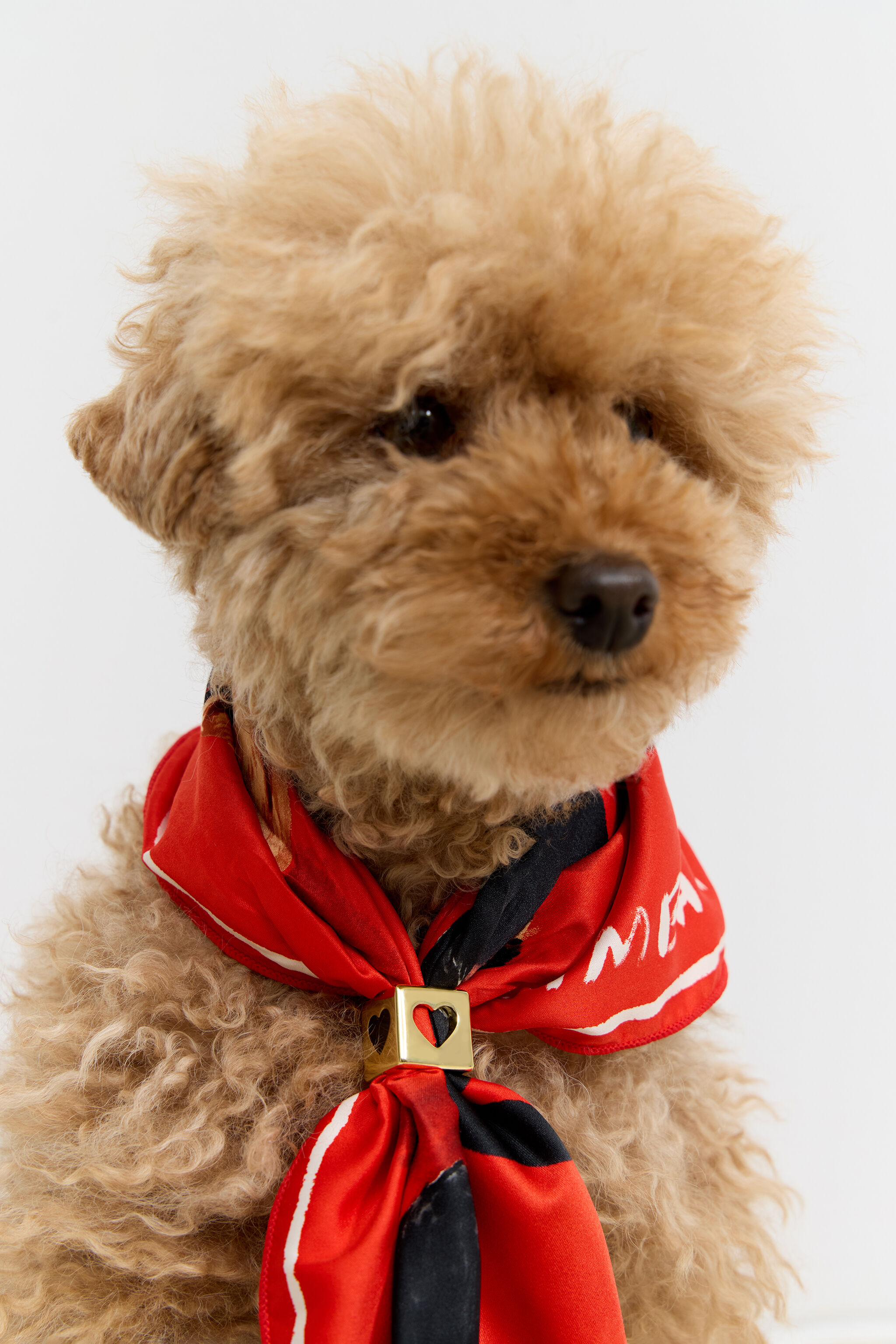 Red dogs scarf bag charm