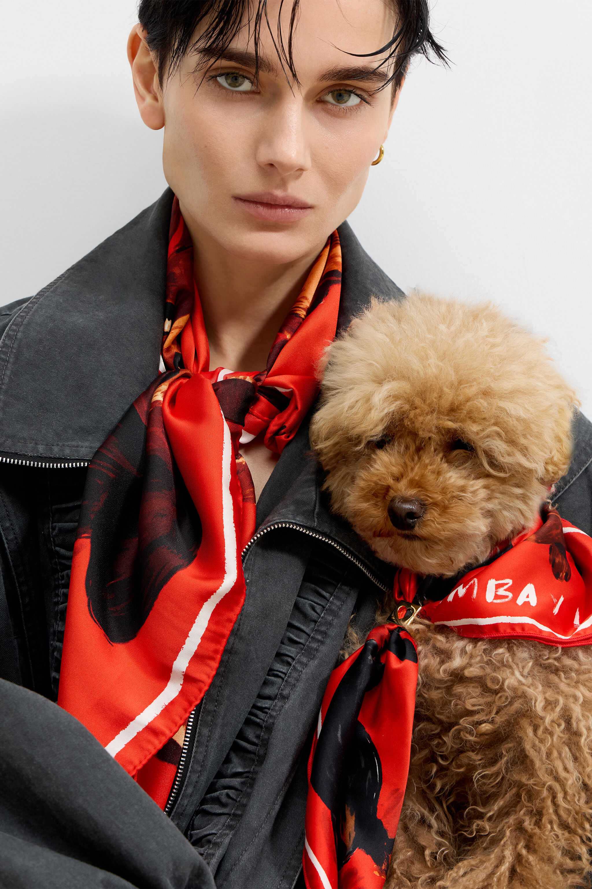 Red dogs scarf