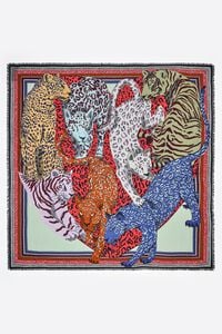 Chal felinos y coraz&oacute;n marcos lima