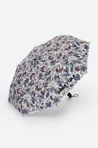 Paraigua paisley vori