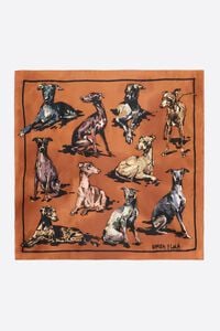 Pa&ntilde;uelo galgos caramelo