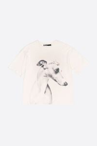 Ivory greyhound logo T-shirt