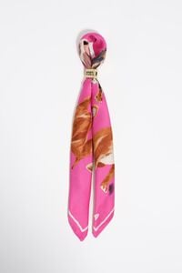 Chihuahuas scarf charm