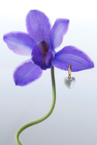 Arracades c&egrave;rcol daurades i cor perla