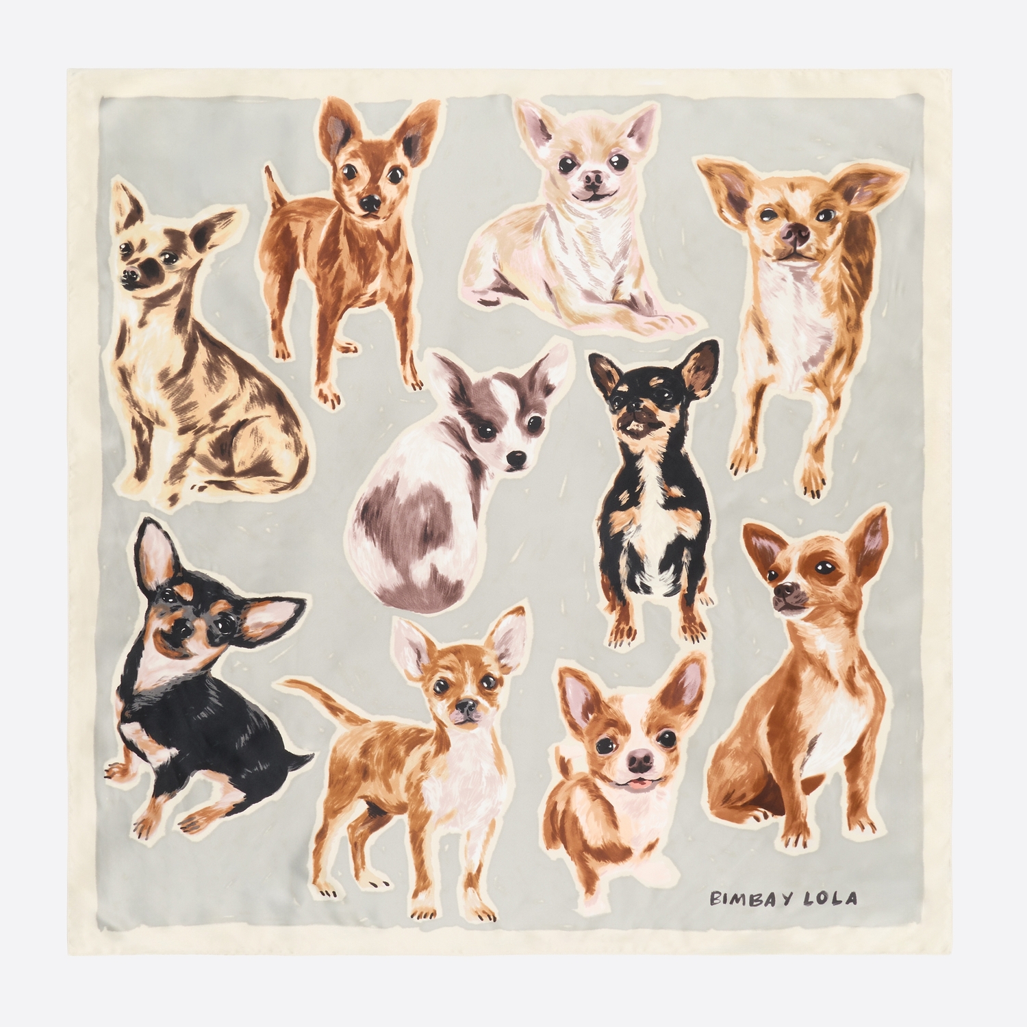 Chusta Chihuahua